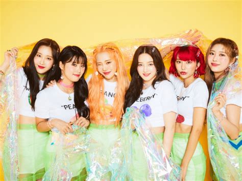mld entertainment|mld entertainment momoland.